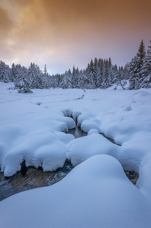 Le Ruisseau Perdu