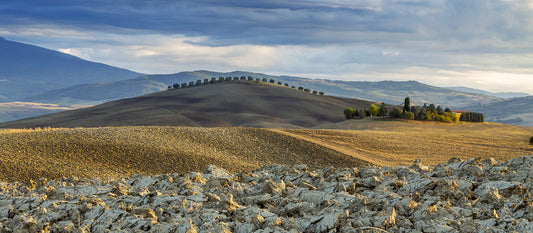 La colline aux arbres